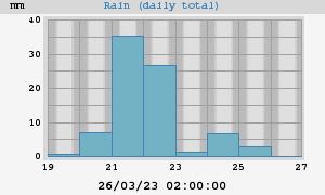 Rain