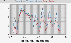Temperature & Dewpoint